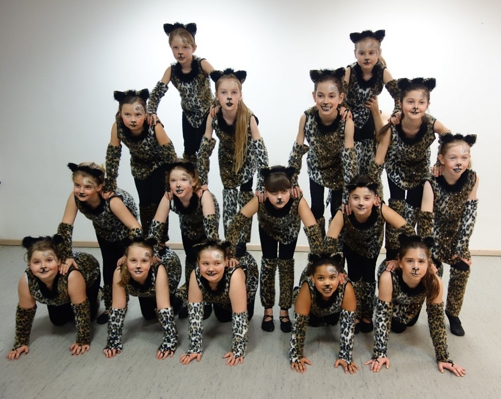 Showtanz Rückblick 2016 2017 Wild Cats